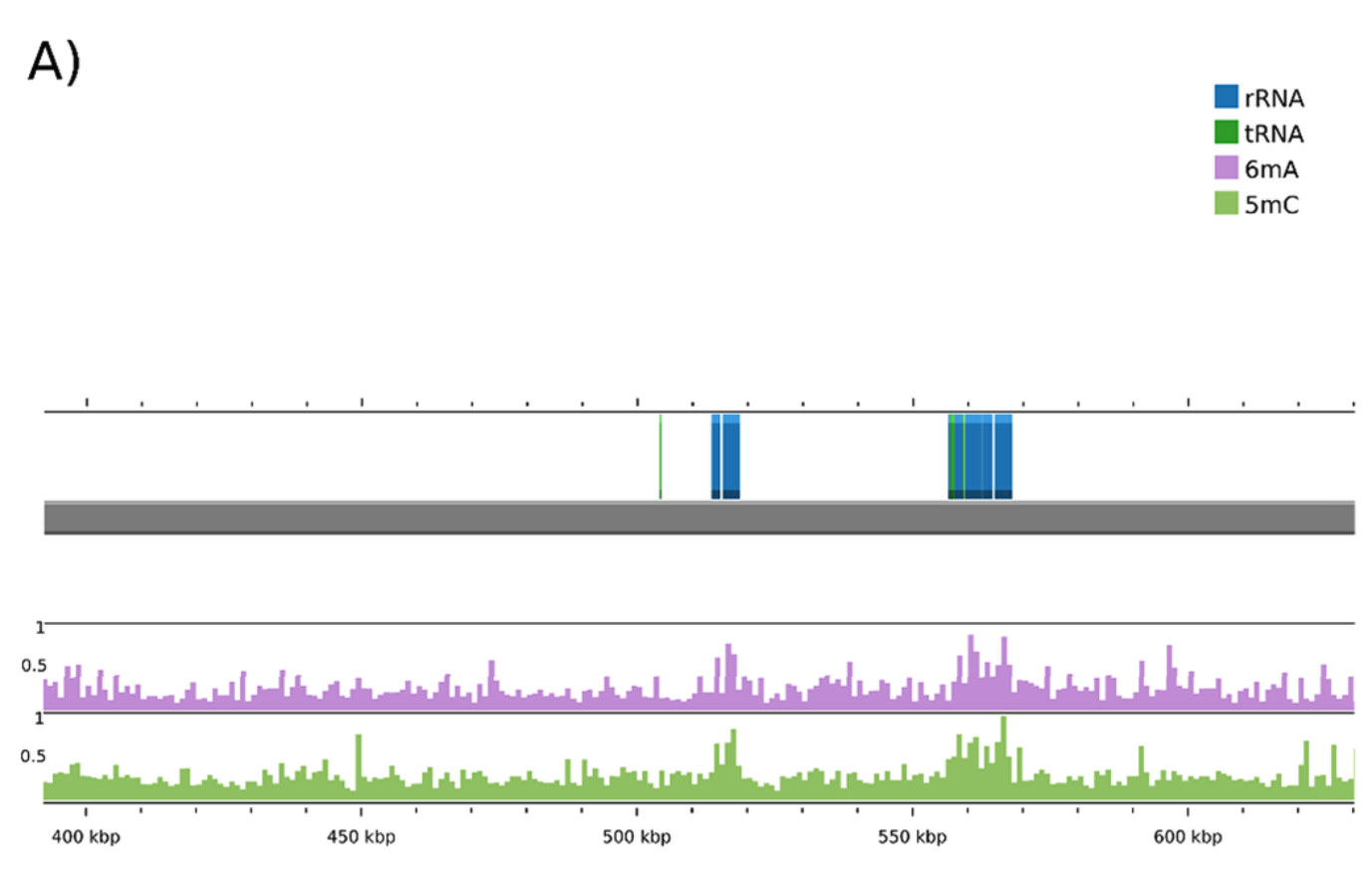 Decoding bacterial methylomes in four public health-relevant microbial species: Nanopore sequencing enables reproducible analysis of DNA modifications